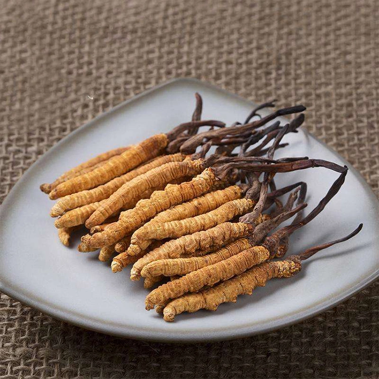 Cordyceps Sinensis Mycelium Powder Cs-4