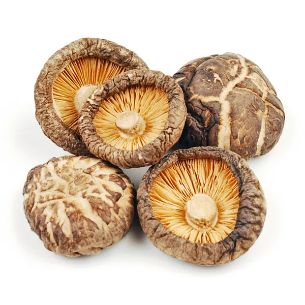 Organic Lentinus Edodes Extract Powder for Immune Support