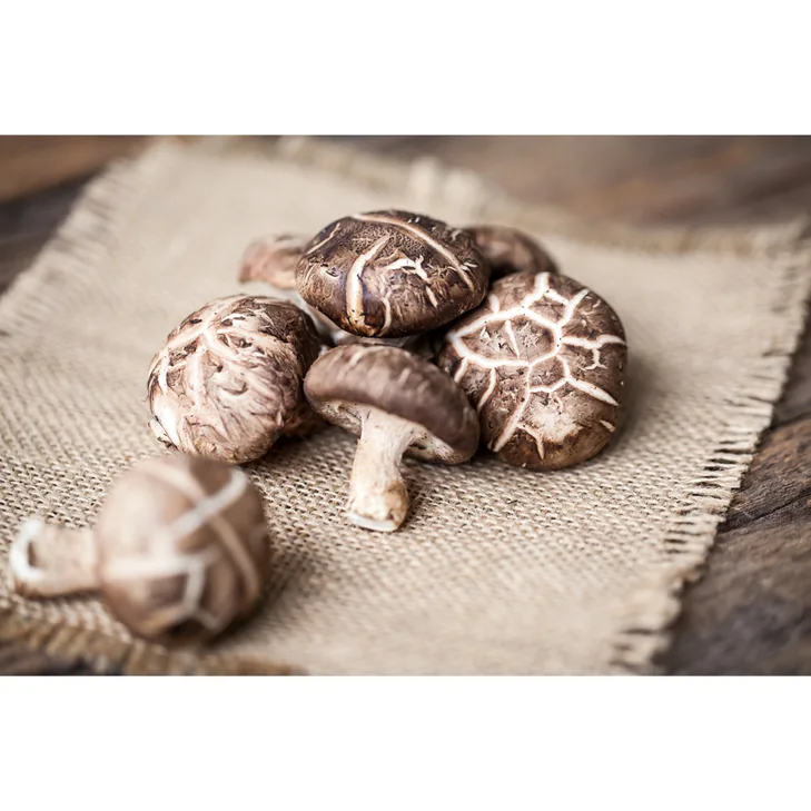 Potent Shiitake Extract for Natural Immune Support