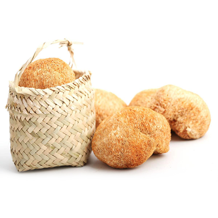 Organic Hericium Erinaceus Extract - Lion's Mane Mushroom for Brain Health