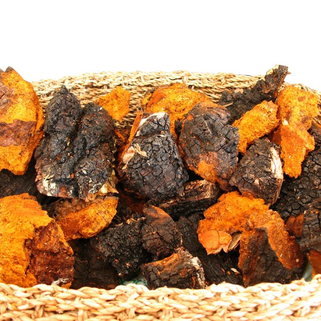 How is organic chaga mushroom extract made?